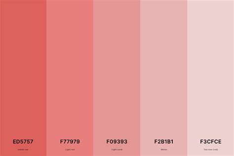 25+ Best Red Color Palettes with Names and Hex Codes – CreativeBooster