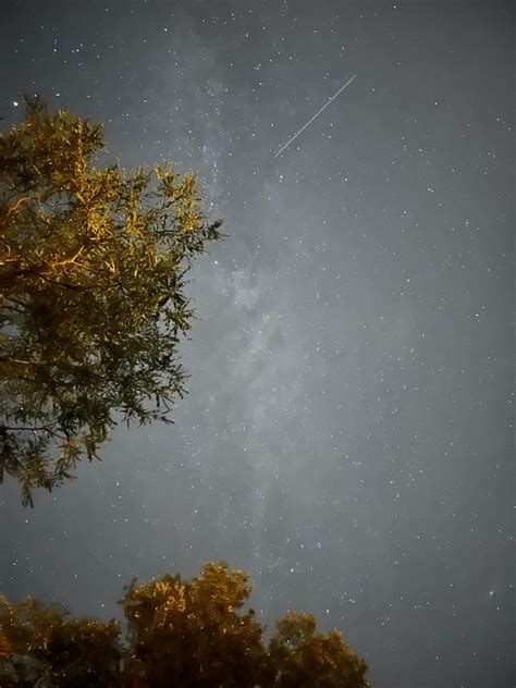 Chubby Male Nude Poses and Lighting : r/AskPhotography