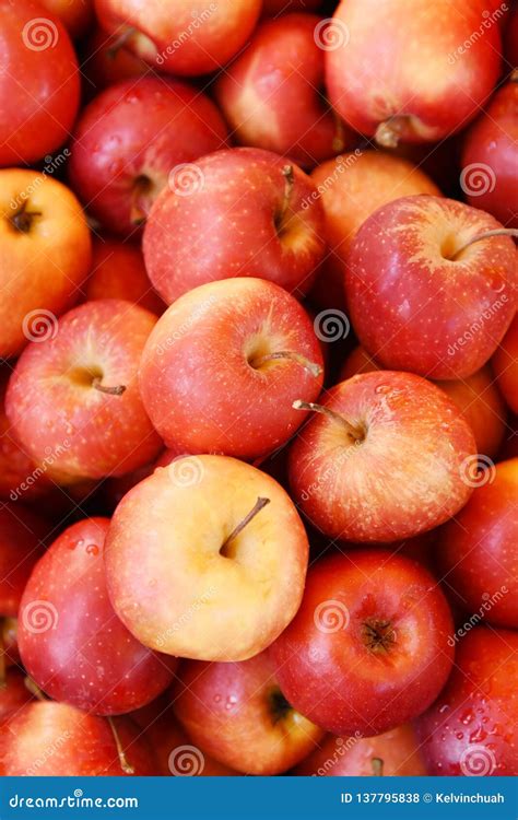 Bushel Of Apples At Orchard Stock Photography | CartoonDealer.com #78778070