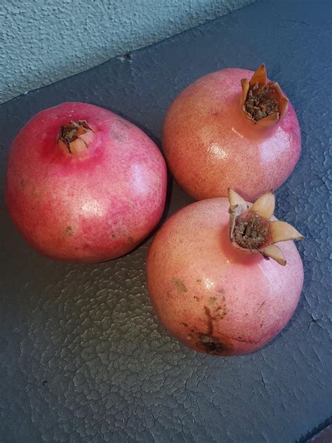 What is this? Thanks in advance : r/fruit