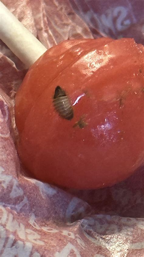 Any idea what I just found eating this lollipop? The black part of the ...