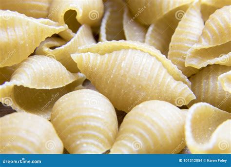 Close Up of Whole Wheat Small Shell Pasta Noodles Stock Photo - Image ...