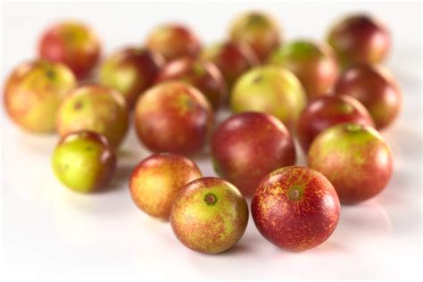 Key Skin & Health Benefits of Camu Camu - Age-Defying Beauty Made Easy