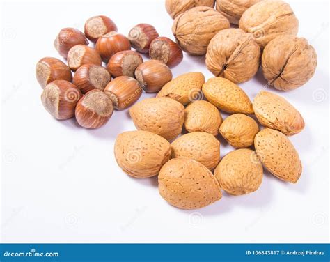 Different Types Of Nuts With Shells at James Pettry blog