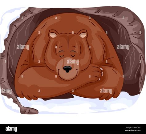 Animals That Hibernate Clipart at James Wilcher blog