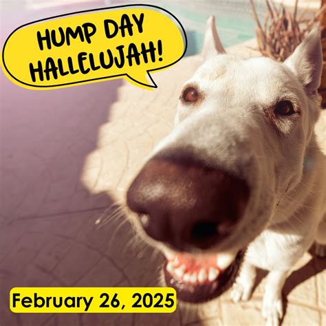 Hump Day Hallelujah! February 26, 2025