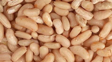 How to Cook Navy Beans: 12 Steps (with Pictures) - wikiHow