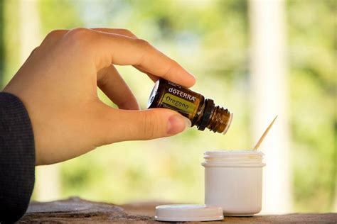 Does Oregano Oil Kill Good Bacteria? 9 Reasons to Say NO