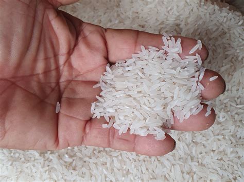 Precio del arroz para el 2025 se fijó en $ 34 y $ 36 para las sacas de ...