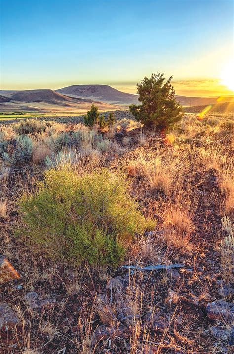 Building wildfire resilience - Burns Times-Herald