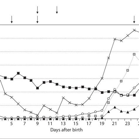 Blood counts during the neonatal period. WBC (S), absolute neutrophil ...