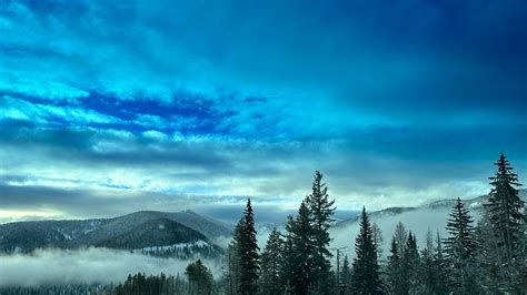 Sexuality — Stories — Christ Church Memphis