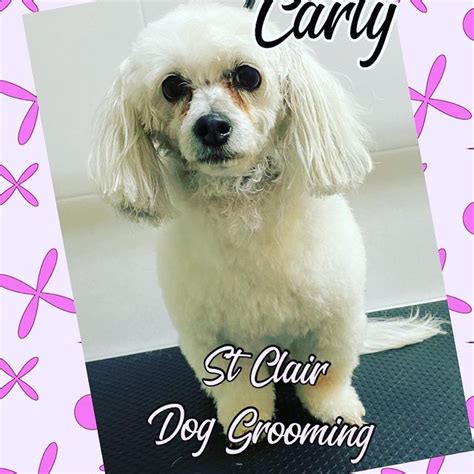 Watch Sheri St Clair Exclusive Porn Videos