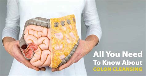 All You Need to Know about Colon Cleansing - Laser Piles Clinic