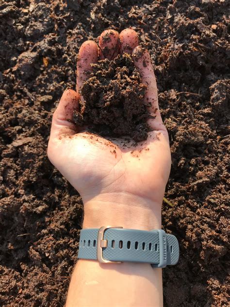 Is Soil Abiotic or Biotic? [Learn The Nuances!] - Grow Your Yard