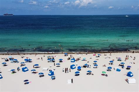 Hairy Black Holes In Poles