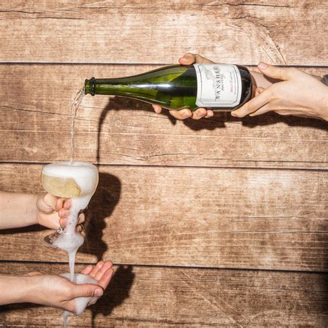 Banshee Sonoma County Pinot Noir - Banshee