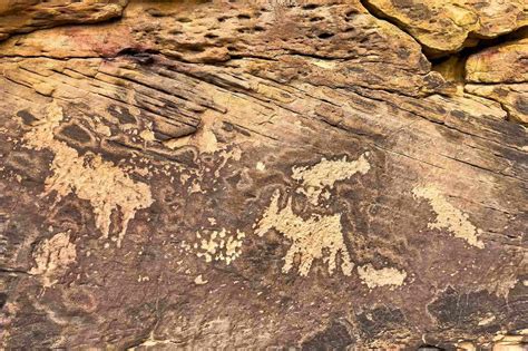 Montana's Pryor Mountains Wild Horse Range Secrets | TouristSecrets