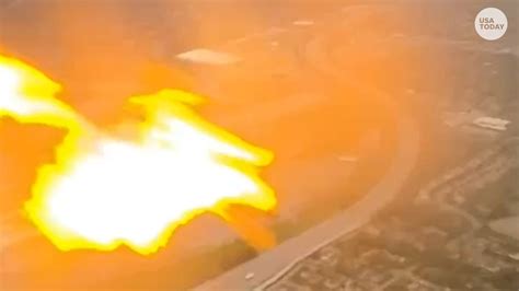 American Airlines engine catches fire after plane hits bird