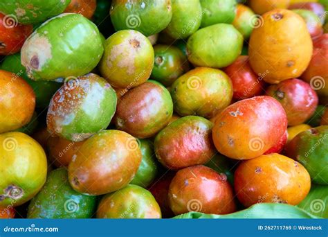 Closeup of Jocote Fruits (Spondias Purpurea) in a Market Stock Image ...