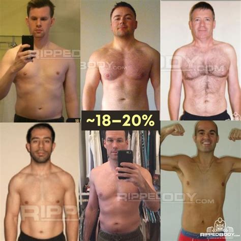 Different body fat percentages men - tolfable
