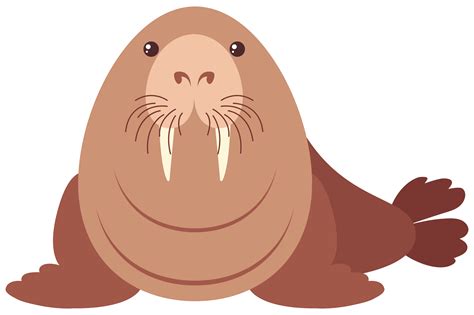 Walrus Face Clip Art