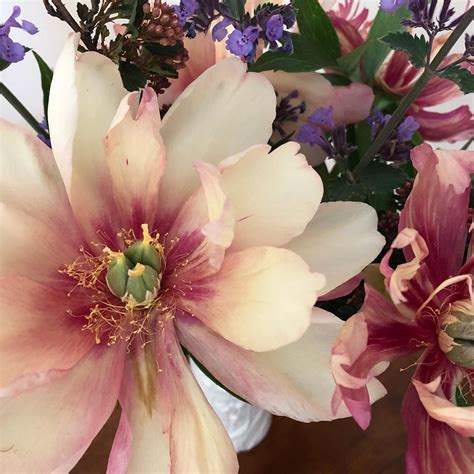 Falmouth Art Center presents "Fire and Light: The Art of Two Friends ...