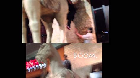 Two Men One Horse - YouTube