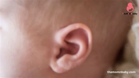 Contagious Ear Infection: Causes, Symptoms, and Prevention