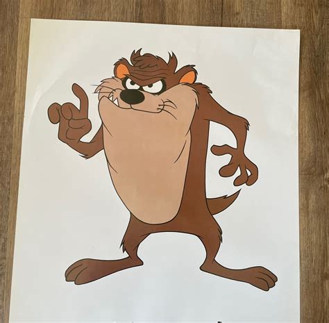 Tasmanian Devil Looney Tunes Drawings