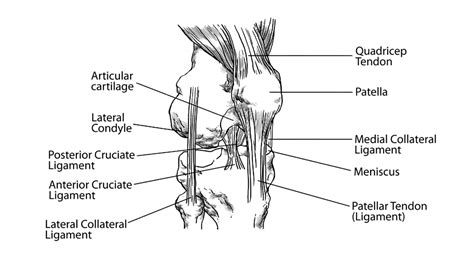 Virasana (Sometimes Called W-Sitting): Is it Good or Bad?