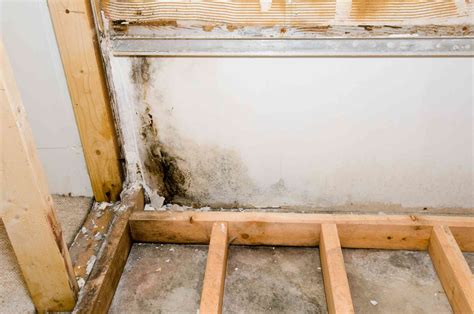 Removing Mold From Walls