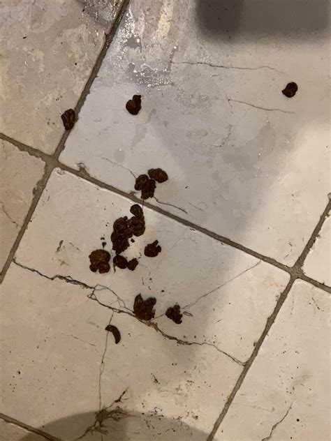 Messed in undies, and accidentally peed a little too. And dropped some ...