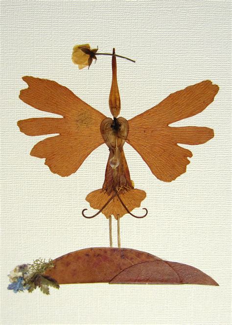 Guided by Birds — Lynette Breton Design