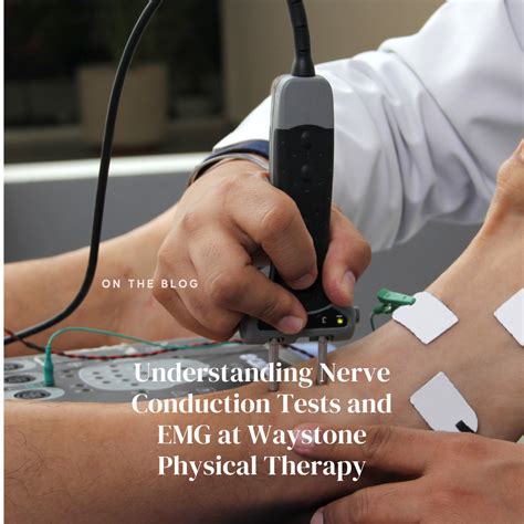 Understanding Nerve Conduction Tests and EMG at Waystone Physical Therapy | Physical Therapy ...