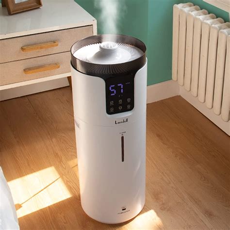 Review of Lacidoll Ultrasonic Cool Mist Humidifier: 16L/4.2Gal for ...