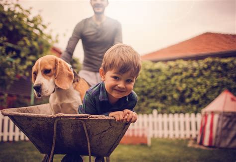 GET A QUOTE | Northland Insurance