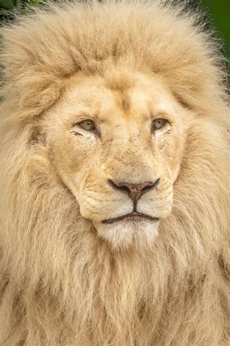 Mexican+Big+Ass Photos, Download The BEST Free Mexican+Big+Ass Stock ...