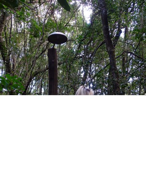 Brazilian Adventure (@brazilianadventure) - Urlebird