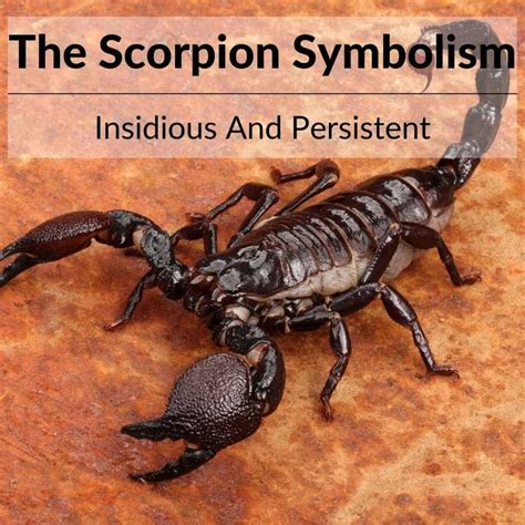 Unveiling The Insidious Scorpion Symbolism: A Full Guide