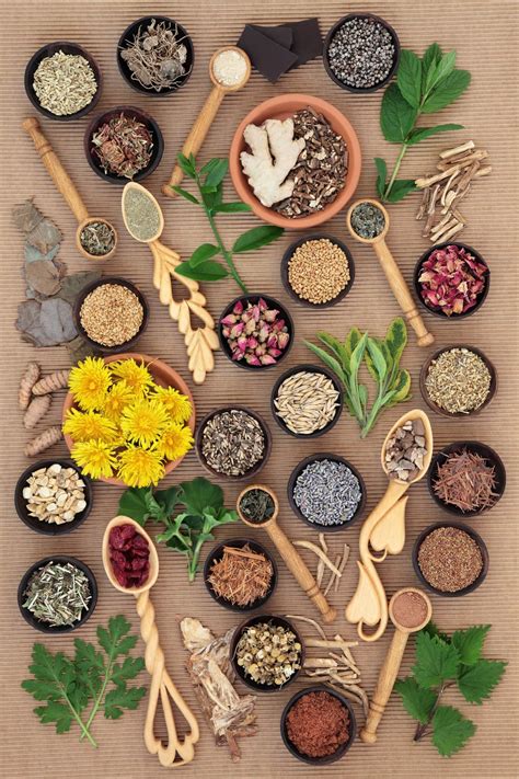 Herbs to Avoid During Pregnancy - Healthier Steps