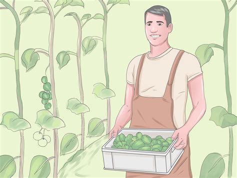 Come Diventare un Contadino Senza Avere l’Esperienza