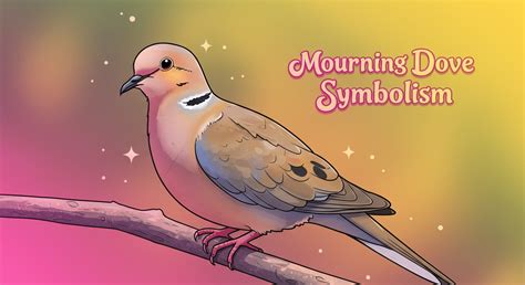 Mourning Dove Symbolism & Spiritual Significance!