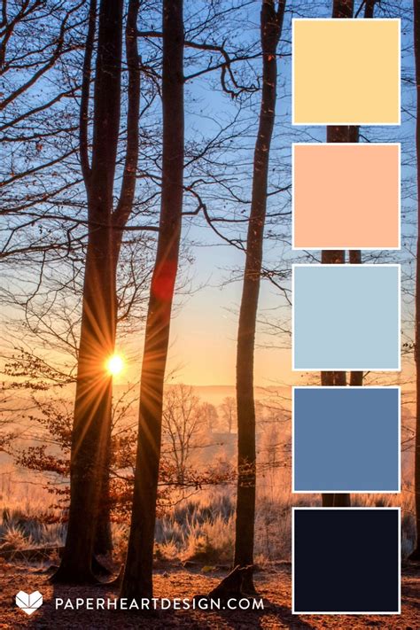 Sunrise color palettes – Artofit