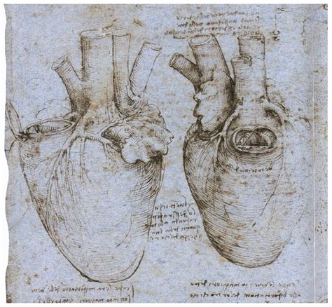 Da Vinci | Leonardo da vinci, Heart drawing, Leonardo