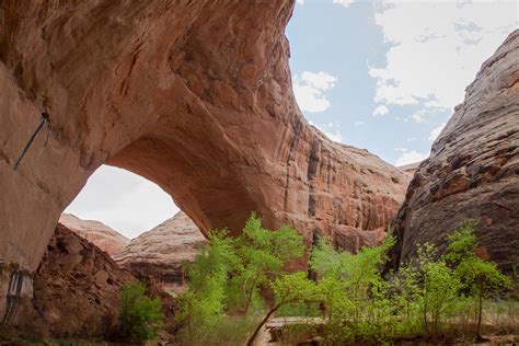 Escalante Weather Forecast at Jennifer Lyman blog