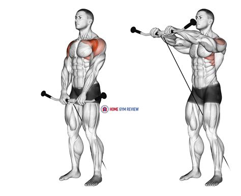 Cable Front Raise - Home Gym Review