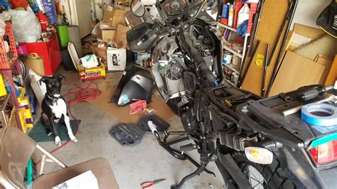 Just sharing my Nudes on the internet (finally getting my Crash bars on today) : r/klr650