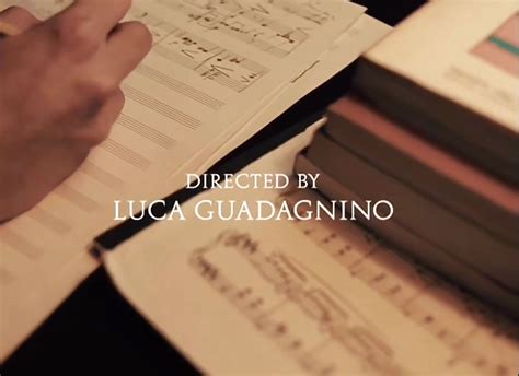directed by Luca Guadagnino 🤍 in 2025 | Lucas, Film, Directions