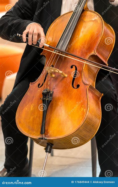 String Musical Instrument, Viola - Large Violin, Close Up. Vertical ...